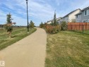 Paved pathway bordered by manicured lawn and mature shrubs, featuring a modern street lamp - 7939 Erasmus Crescent Nw, Edmonton, AB 