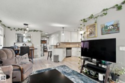 Open-concept living space featuring wood-finish flooring, a kitchen with white cabinetry and stainless steel appliances, and a dining area with pendant lighting - 