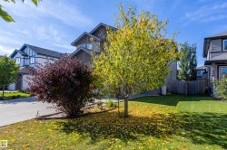 Front yard landscaping featuring a mature tree and a red-leafed shrub - 