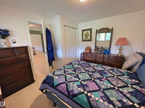 Wall-to-wall carpeting, bi-fold closet doors, and painted walls - 9131 Township Road 554, Rural St. Paul County, AB 