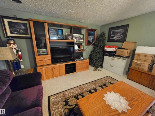 Cozy downstairs family room - 9131 Township Road 554, Rural St. Paul County, AB 