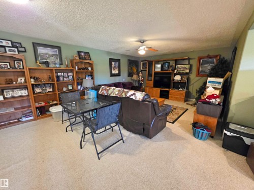 Wall-to-wall carpeting and a ceiling fan with integrated lighting - 9131 Township Road 554, Rural St. Paul County, AB 