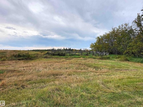 Expansive natural landscape featuring open fields and distant tree lines - 9131 Township Road 554, Rural St. Paul County, AB 