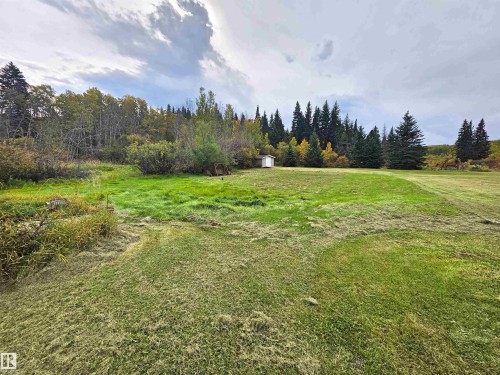 Expansive green lawn with a small shed and mature evergreen trees - 9131 Township Road 554, Rural St. Paul County, AB 