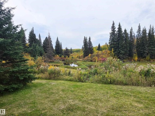 Expansive grounds featuring manicured lawn, mature coniferous and deciduous trees, natural pond, and mixed plantings throughout the landscape - 9131 Township Road 554, Rural St. Paul County, AB 
