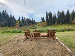 Expansive green space with mature evergreen trees and a natural water feature - 