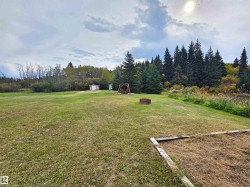 Expansive grassy area with a fire pit and mature evergreen trees - 