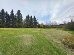 Expansive green area with varied vegetation, including mature evergreen trees and deciduous trees - 