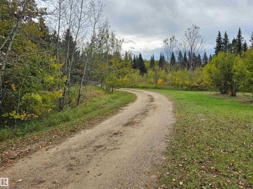 Gravel driveway with a natural curve, bordered by mature deciduous and evergreen trees, and expansive grassy areas - 9131 Township Road 554, Rural St. Paul County, AB 