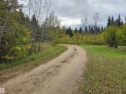 Gravel driveway with a natural curve, bordered by mature deciduous and evergreen trees, and expansive grassy areas - 