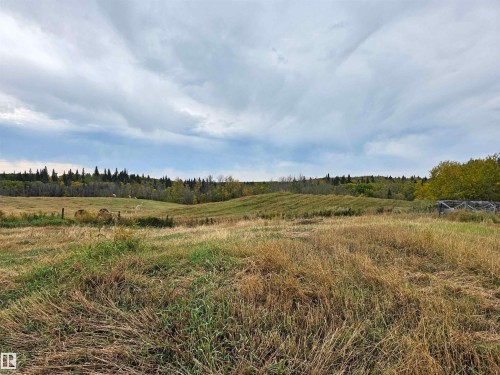 Expansive grass and brush land, featuring rolling hills and a treed perimeter - 9131 Township Road 554, Rural St. Paul County, AB 
