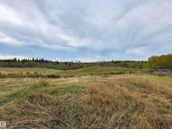 Expansive grass and brush land, featuring rolling hills and a treed perimeter - 