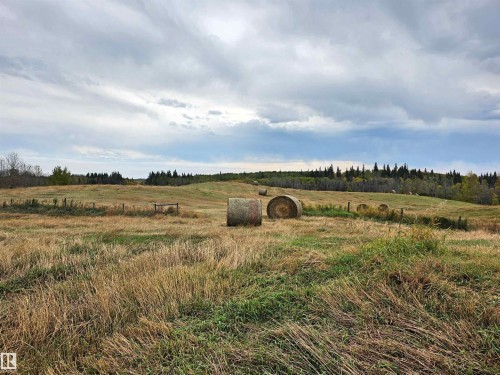Expansive open field with scattered hay bales, bordered by distant evergreen trees - 9131 Township Road 554, Rural St. Paul County, AB 