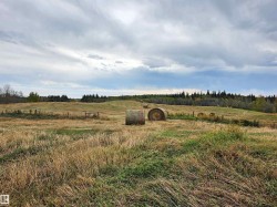 Expansive open field with scattered hay bales, bordered by distant evergreen trees - 