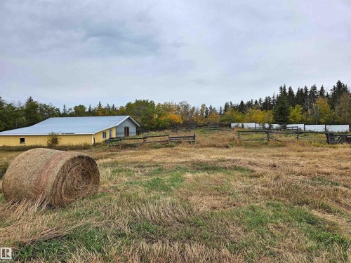 Expansive open field with a large yellow outbuilding featuring a metal roof - 9131 Township Road 554, Rural St. Paul County, AB 