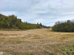Expansive field with cut hay and natural tree lines - 