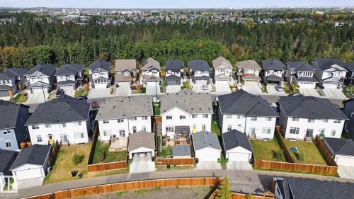 Residential street lined with detached homes, each featuring a private backyard and individual driveway - 153 Cavanagh Common Sw, Edmonton, AB 