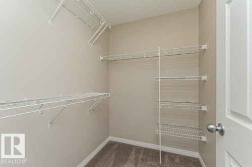 Neutral wall paint - 3203 Carpenter Landing Sw, Edmonton, AB 