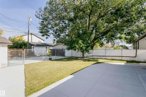 Expansive concrete patio with a manicured lawn, established shade tree, and perimeter fencing - 7204 92B Avenue Nw, Edmonton, AB 