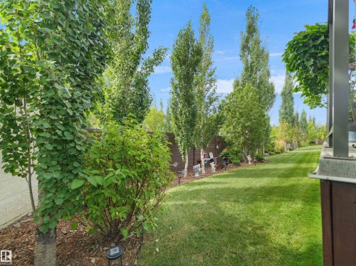 Expansive lawn with mature trees and established perimeter plantings - 904 Wood Place Nw, Edmonton, AB 