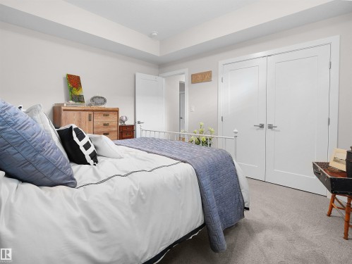 Plush carpeting, recessed ceiling, and white interior doors - 904 Wood Place Nw, Edmonton, AB 