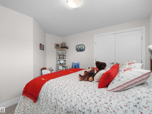 White double doors, light-colored walls, and a built-in corner shelving unit - 904 Wood Place Nw, Edmonton, AB 