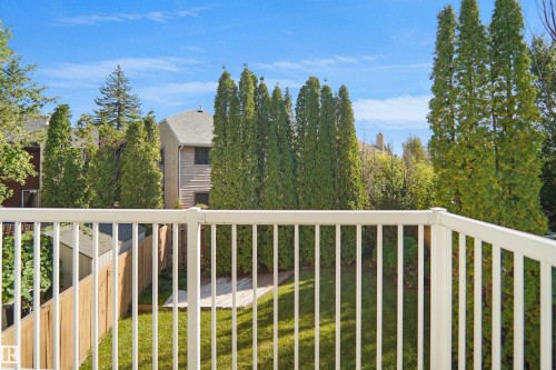 Expansive backyard featuring a manicured lawn, mature trees, and a privacy fence - 12311 25 Avenue Nw, Edmonton, AB 