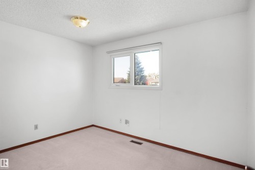 White walls with dark wood-finish trim, light-colored carpet, and a flush mount ceiling light fixture - 12311 25 Avenue Nw, Edmonton, AB 
