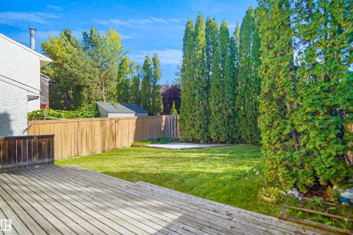 Expansive wood deck with a manicured lawn, established privacy trees, and a wooden fence - 12311 25 Avenue Nw, Edmonton, AB 