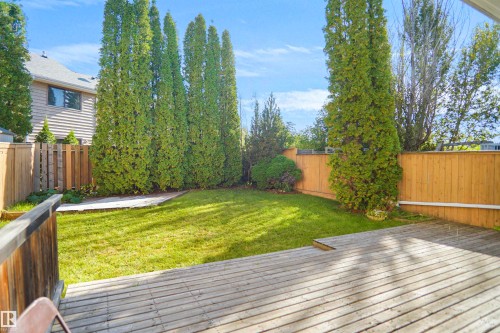 Expansive backyard featuring a wood deck, manicured lawn, and mature evergreen trees, enclosed by wood fencing - 12311 25 Avenue Nw, Edmonton, AB 