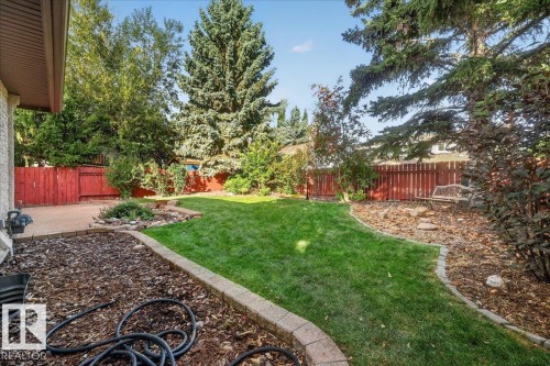 Expansive backyard featuring a manicured lawn, established landscaping, mature trees, and a concrete patio - 8 Wahstao Crescent Nw, Edmonton, AB 