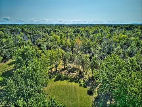 4025 Niagara River Parkway, Fort Erie, ON - Outdoor