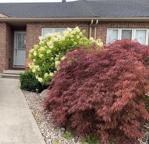 16 Bluegrass Crescent, St. Catharines, ON - Outdoor