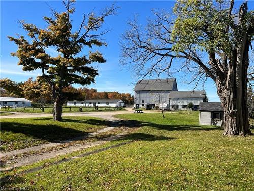 3814 Mountain Road, Lincoln, ON - Outdoor