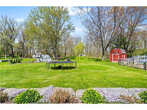 462 Lyons Creek Road, Welland, ON - Outdoor With Backyard