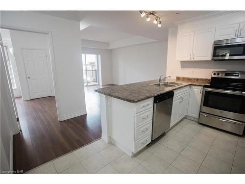 201-141 Vansickle Road, St. Catharines, ON - Indoor Photo Showing Kitchen With Double Sink