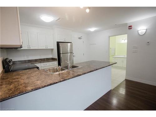 201-141 Vansickle Road, St. Catharines, ON - Indoor Photo Showing Kitchen With Double Sink