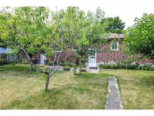 24 Shade Tree Crescent, St. Catharines, ON - Outdoor