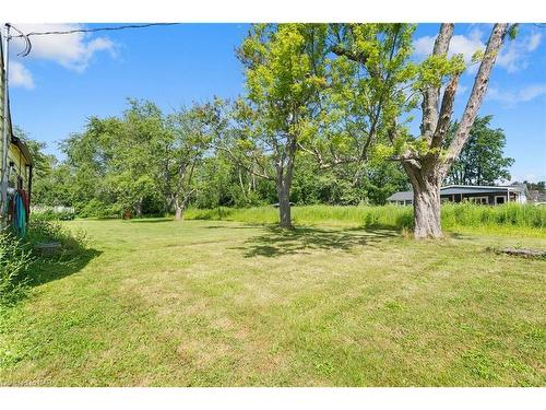 519 Buffalo Road, Fort Erie, ON - Outdoor With View