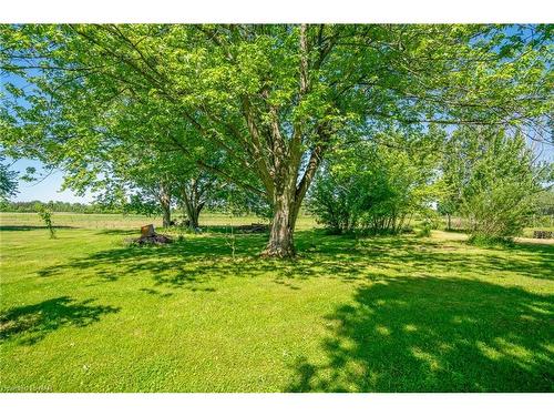 11284 Golf Course Road, Wainfleet, ON - Outdoor