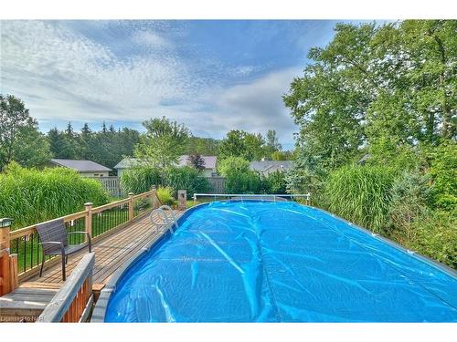 3001 Young Avenue, Ridgeway, ON - Outdoor With Above Ground Pool With Backyard