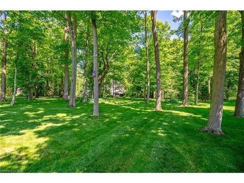 3534 Dominion Road, Ridgeway, ON - Outdoor