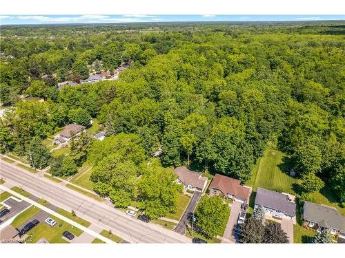 3534 Dominion Road, Ridgeway, ON - Outdoor With View