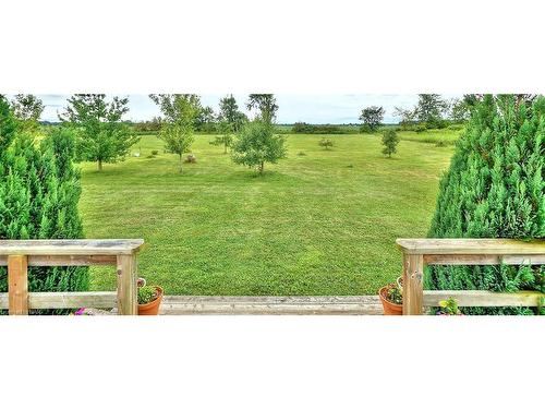 3772 Canborough Road, Fenwick, ON - Outdoor With View