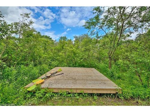 Vl River Trail, Stevensville, ON 