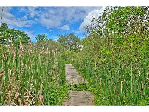 Vl River Trail, Stevensville, ON 