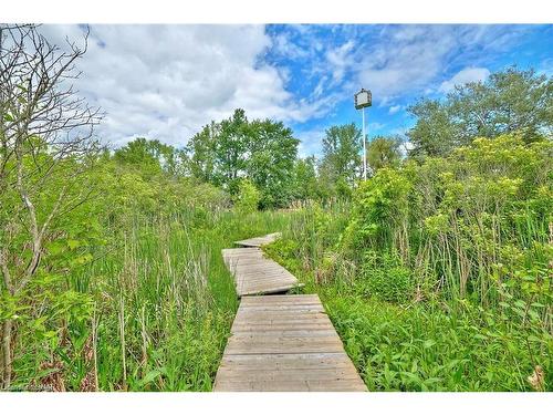 Vl River Trail, Stevensville, ON 