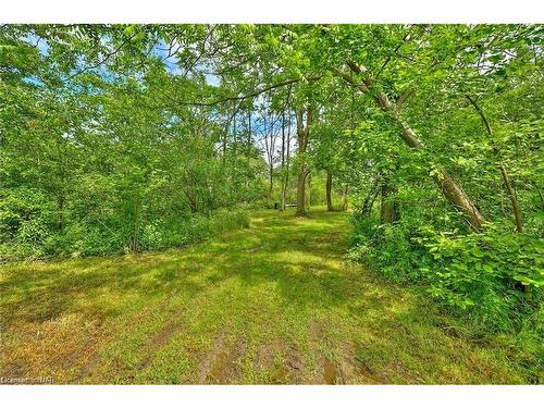 Vl River Trail, Stevensville, ON 