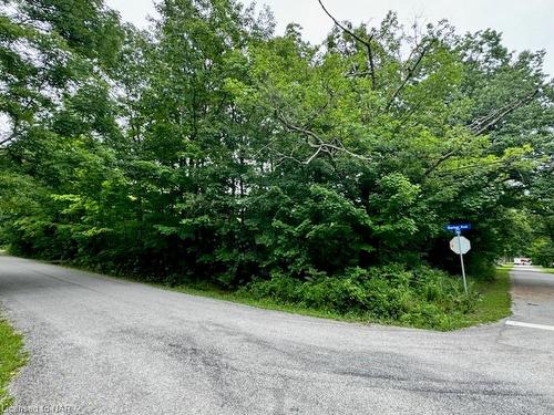 Lot 136 Shawnee Trail, Ridgeway, ON 