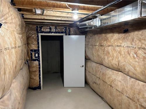 101 Palace Street, Thorold, ON - Indoor Photo Showing Basement